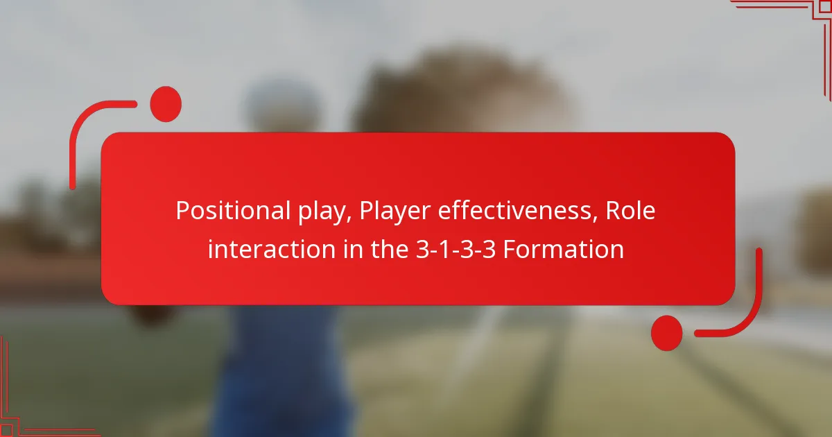 Positional play, Player effectiveness, Role interaction in the 3-1-3-3 Formation