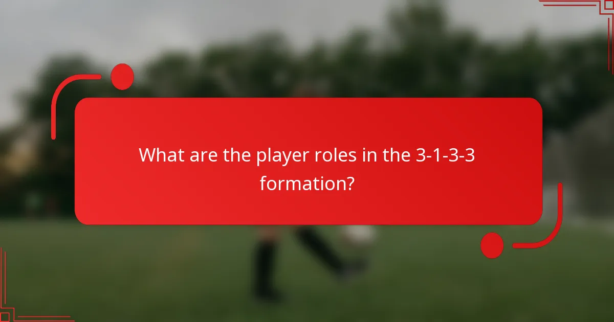 What are the player roles in the 3-1-3-3 formation?